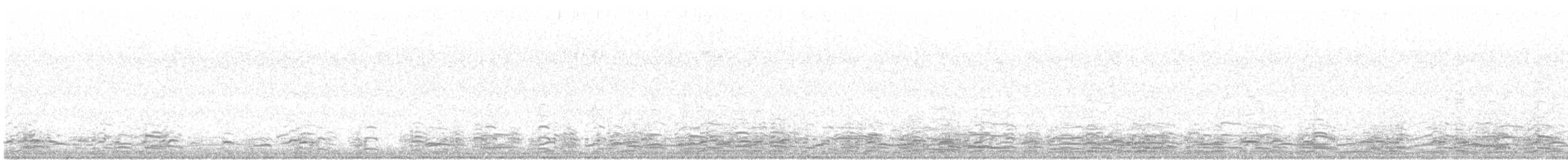 berneška velká (ssp. occidentalis/fulva) - ML92196541