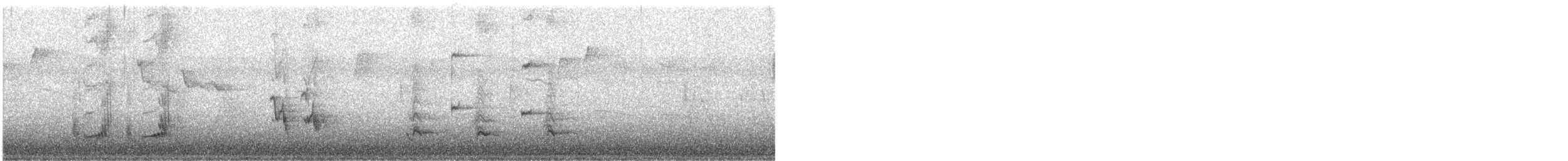 Brown Thrasher - ML92203211