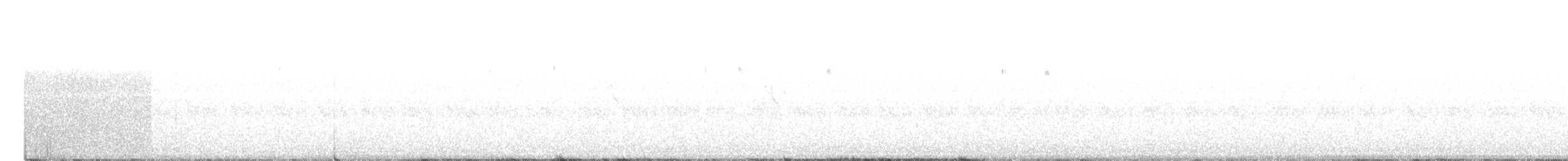 Black-backed Woodpecker - ML92212921