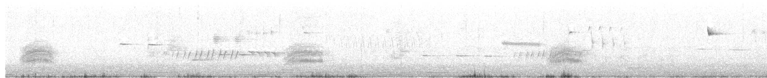 Spotted Towhee (oregonus Group) - ML92262351