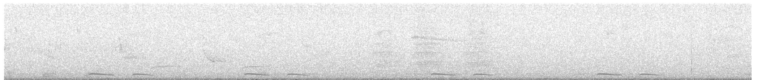 Инкская земляная горлица - ML92301081