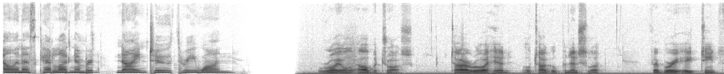 svartvingealbatross - ML9231