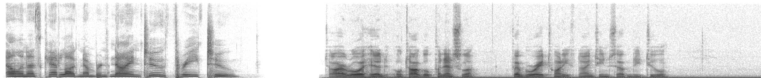 Schwarzflügelalbatros - ML9232