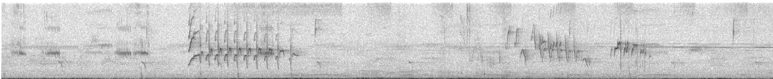 Тиранчик-тонкодзьоб південний - ML92333981