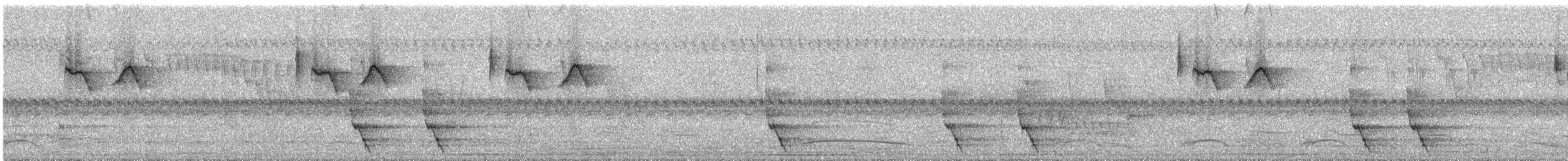 Conirostre cul-roux - ML92336491