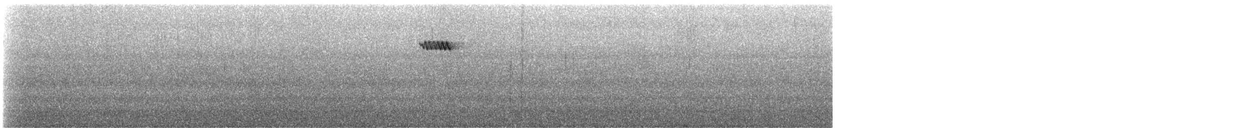 Brown Creeper - ML92366981