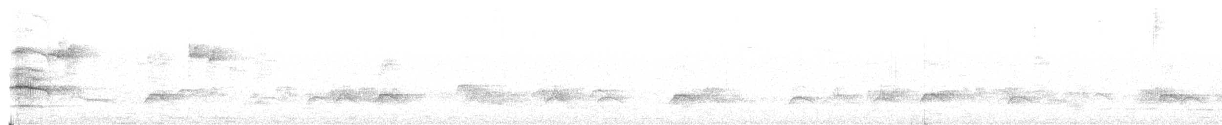 Chilean Hawk - ML92426061