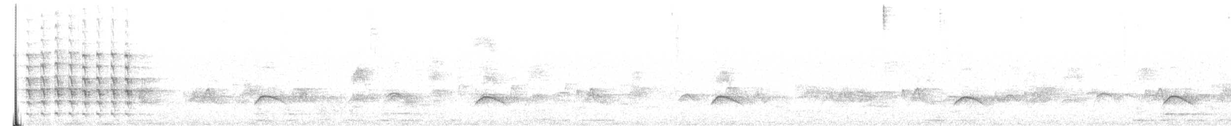 Chilean Hawk - ML92426291