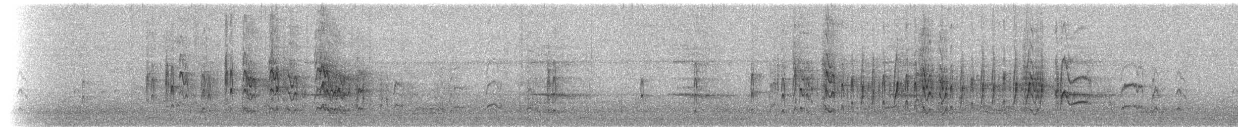 Schmalschnabel-Königstyrann - ML92452361