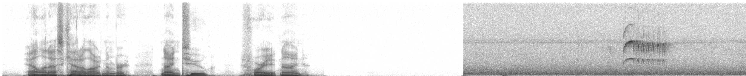 Ласточковый мухолов (ferruginea/sclateri) - ML92489