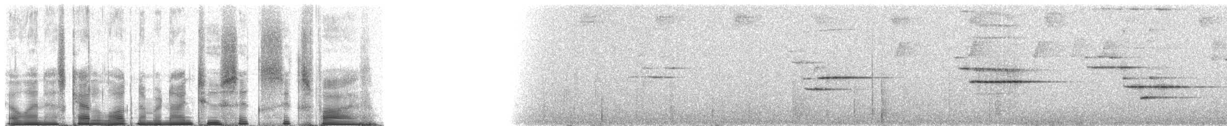 Андский кларино (ralloides) - ML92665