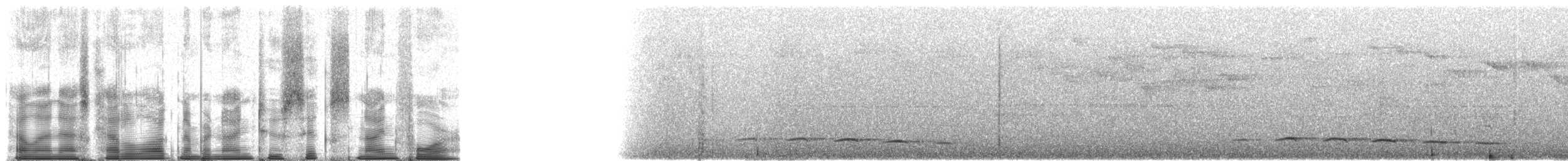 White-streaked Antvireo (White-streaked) - ML92694