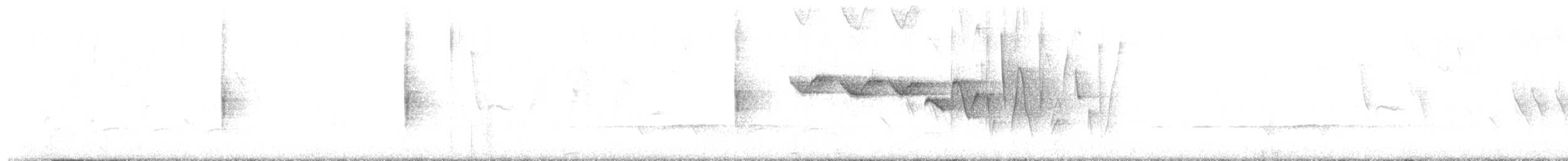Трясогузковый певун - ML92752851