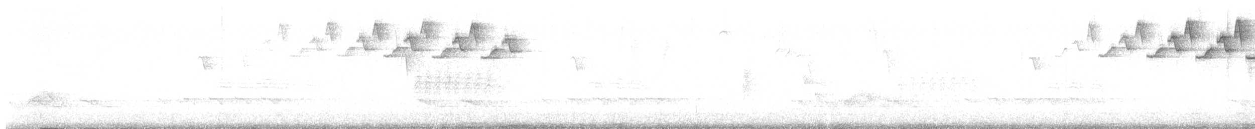 lesňáček černobílý - ML92756051
