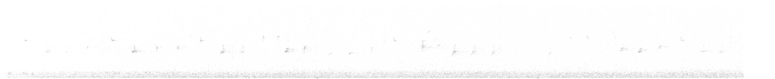 Шишкар ялиновий - ML92791621