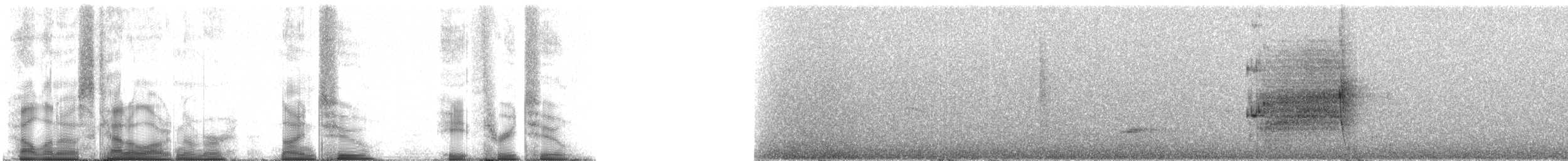 Yeşil Sırtlı Tırmaşık - ML92832