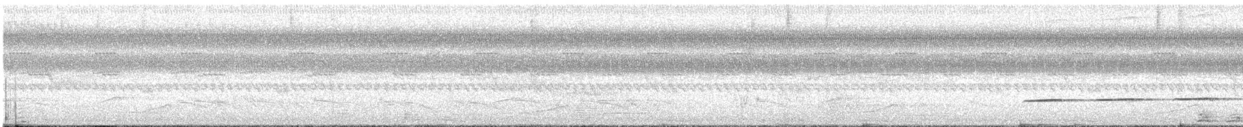 Striped Cuckoo - ML92863061