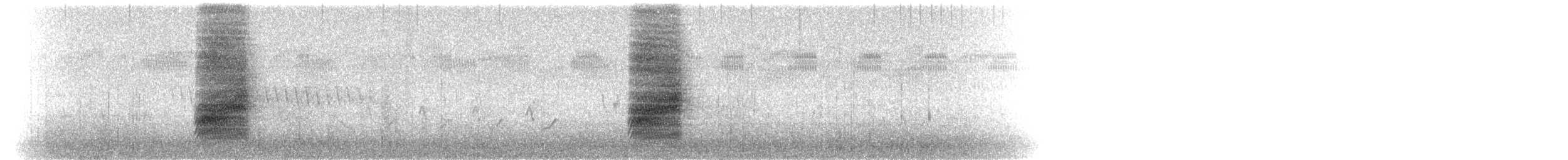 Chara Floridana - ML92871951