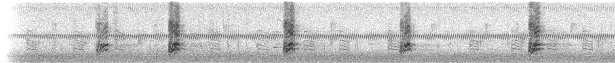 Chara Floridana - ML92871971