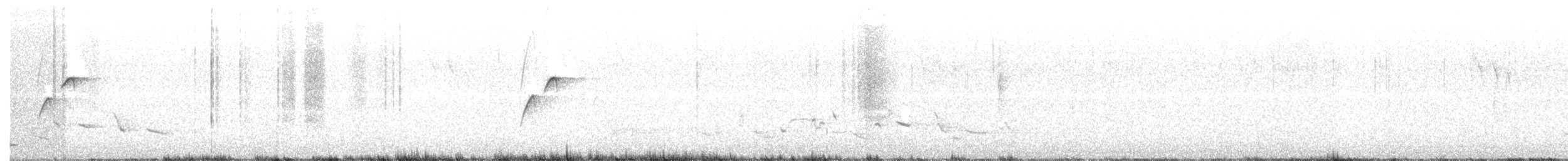 Batı Amerika Sinekkapanı (occidentalis/hellmayri) - ML92914851