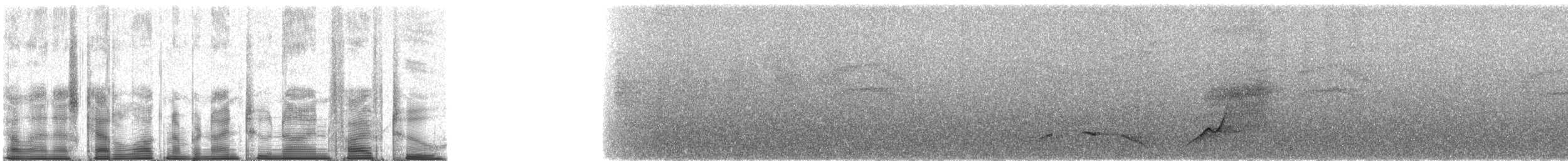 Kara Başlı Vanga (eduardi) - ML92952