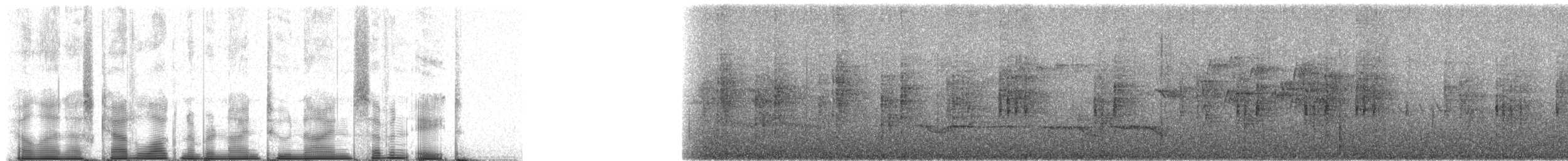 Forest Rock-Thrush (Forest) - ML92978