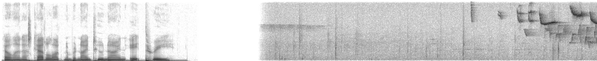 Madagascar Yellowbrow - ML92983