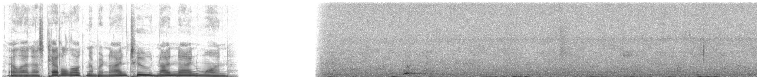 Підкіпка білогорла - ML92991