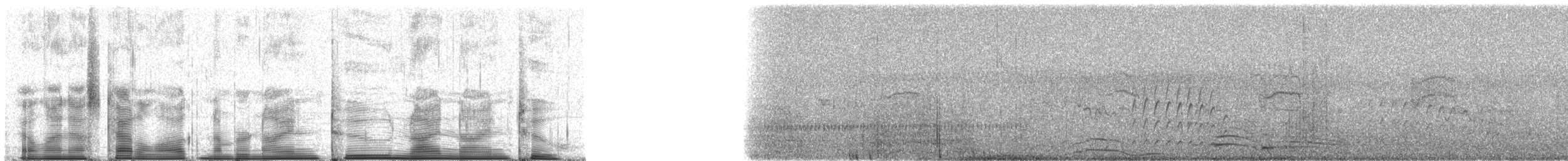 Madagascar Martin - ML92992