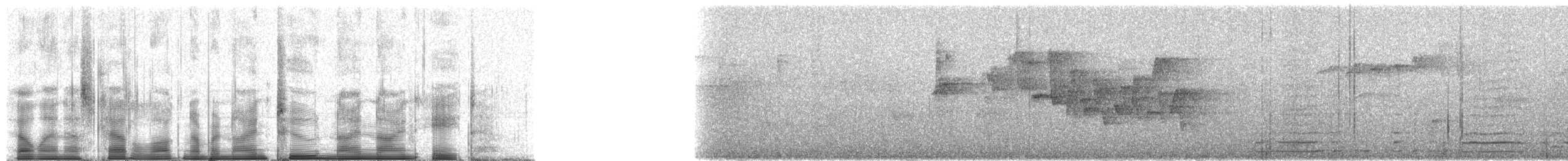 Madagascar Yellowbrow - ML92998