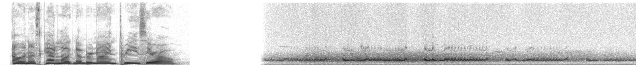 Red-throated Loon - ML930