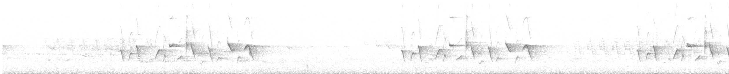 Maui Alauahio - ML93052391