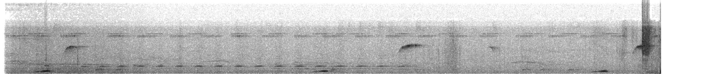 Trinidad Motmot - ML93086311