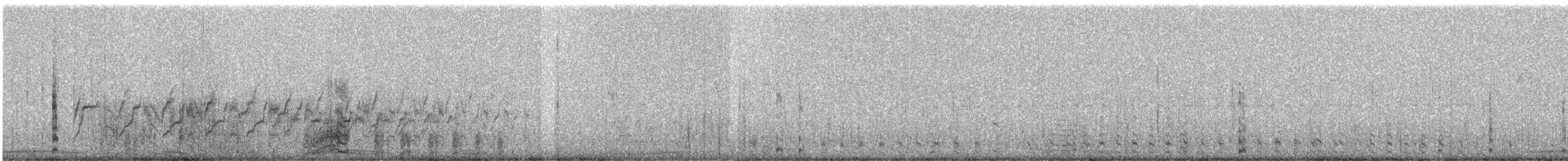 Белокрылая лысуха - ML93114281