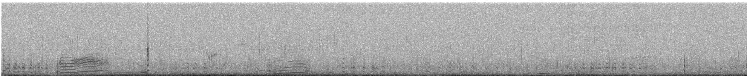 クビワコガモ - ML93115331