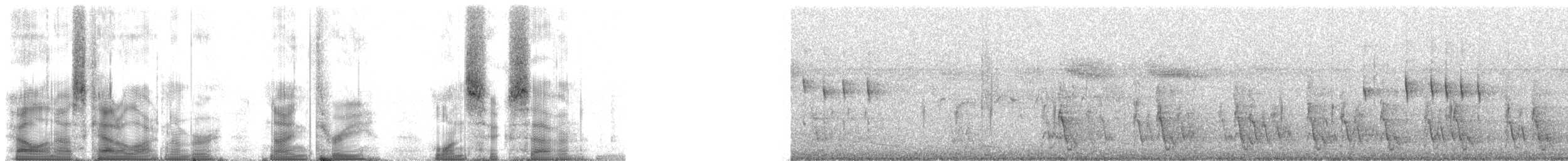 Cúa Crestado (pyropyga/maxima) - ML93167