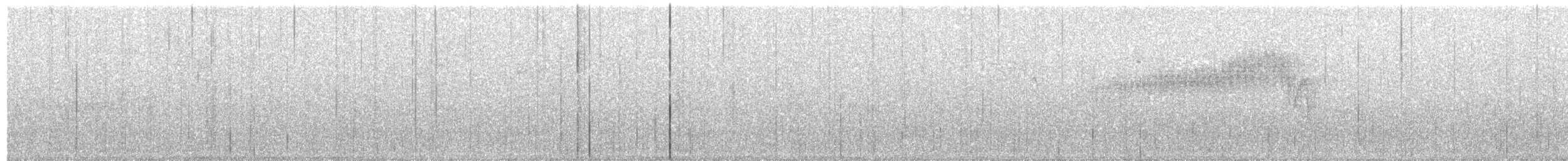 Northern Parula - ML93299821