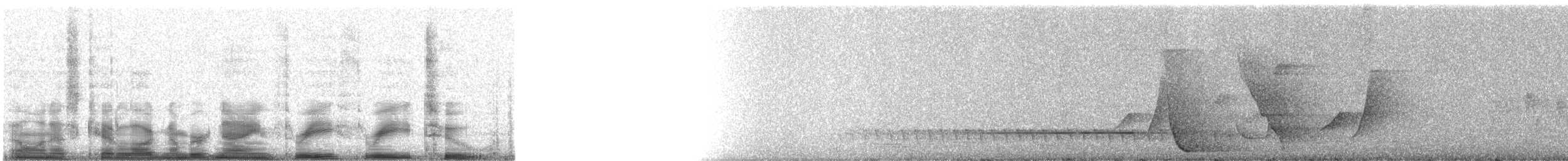 Eastern Whipbird - ML9332