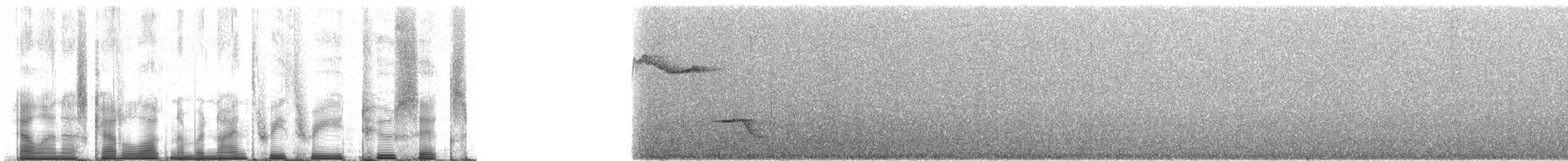 Cuitlacoche Oscuro - ML93326
