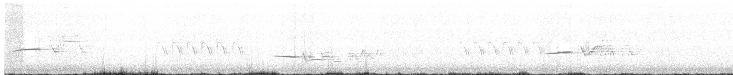 Hermit Thrush - ML93341341
