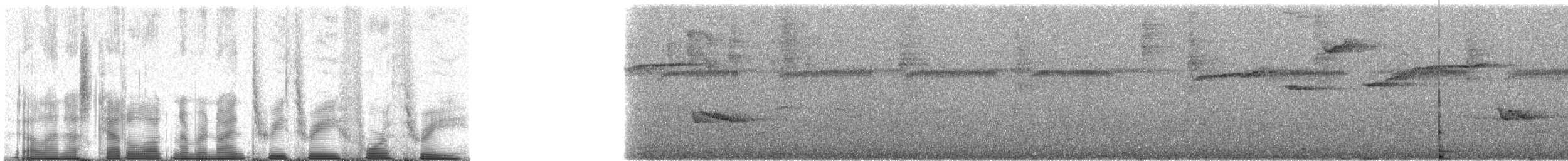 Чешуйчатогрудый пересмешник - ML93343