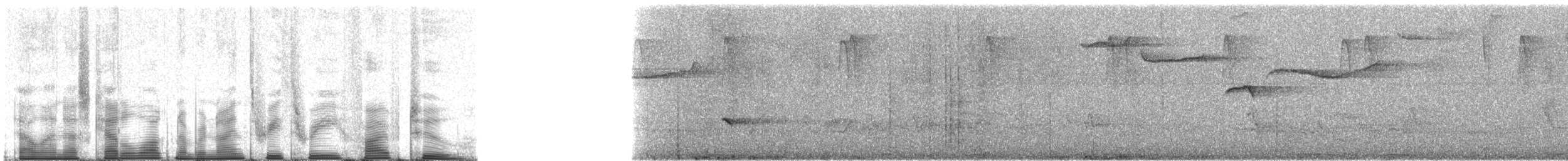Cuitlacoche Oscuro - ML93352