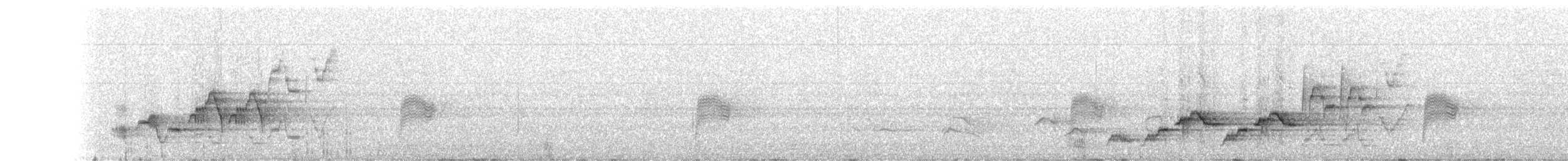 Дрізд-короткодзьоб Cвенсона - ML93372581