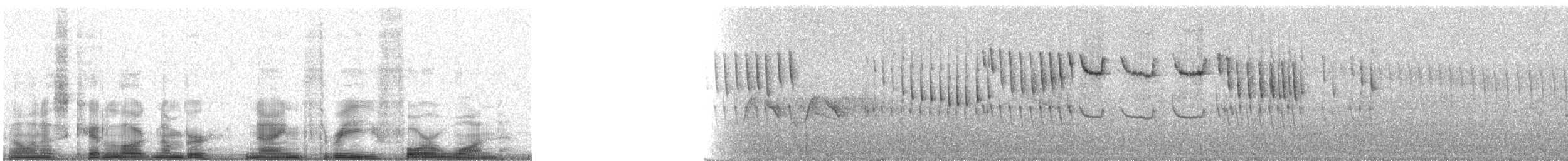 White-browed Fulvetta - ML9341