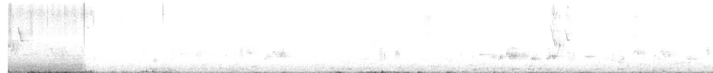 White Wagtail (Chinese) - ML93420171