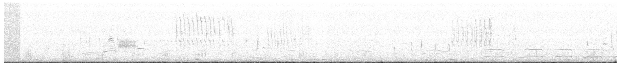 ハシナガヌマミソサザイ - ML93426271