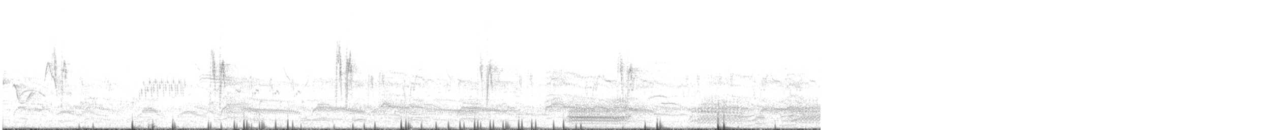 Lavandera Blanca (yarrellii) - ML93492861