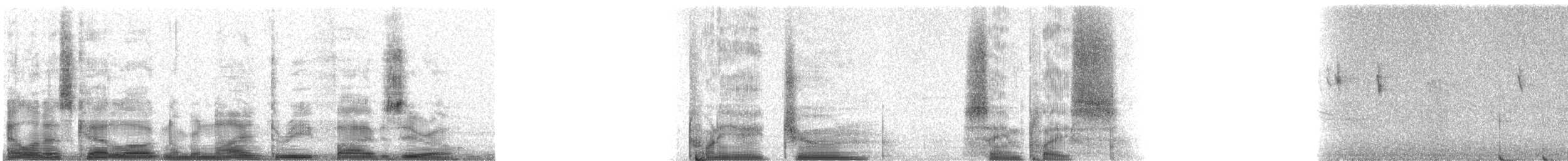 Black-faced Laughingthrush - ML9350