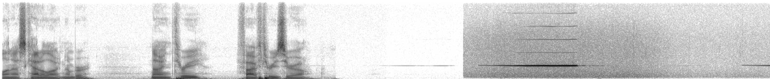 Ванга гачкодзьоба (підвид cetera) - ML93530