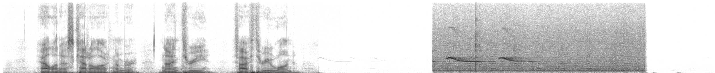 Hakenschnabelvanga (cetera) - ML93531